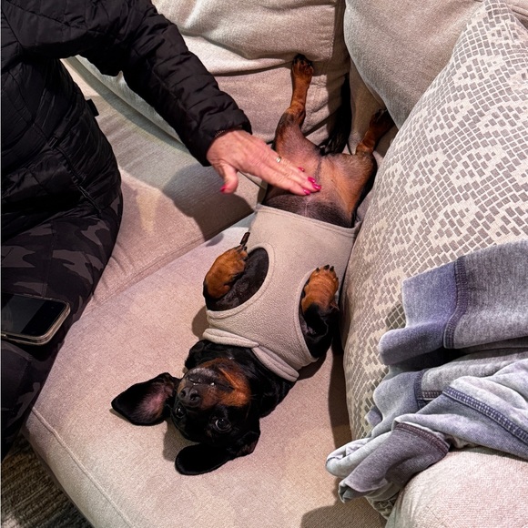 Meet your Posher, Kira - Picture 8 of 8